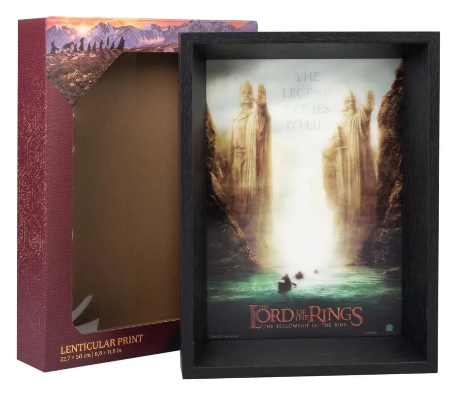 Poster Înrămat The Lord of the Rings - Fellowship of the ring