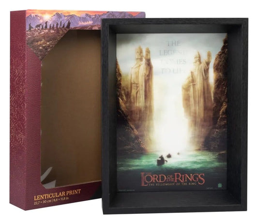 Poster Înrămat The Lord of the Rings - Fellowship of the ring